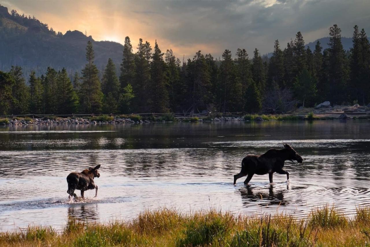 Nakai Peak 41B Condo Estes Park Zewnętrze zdjęcie