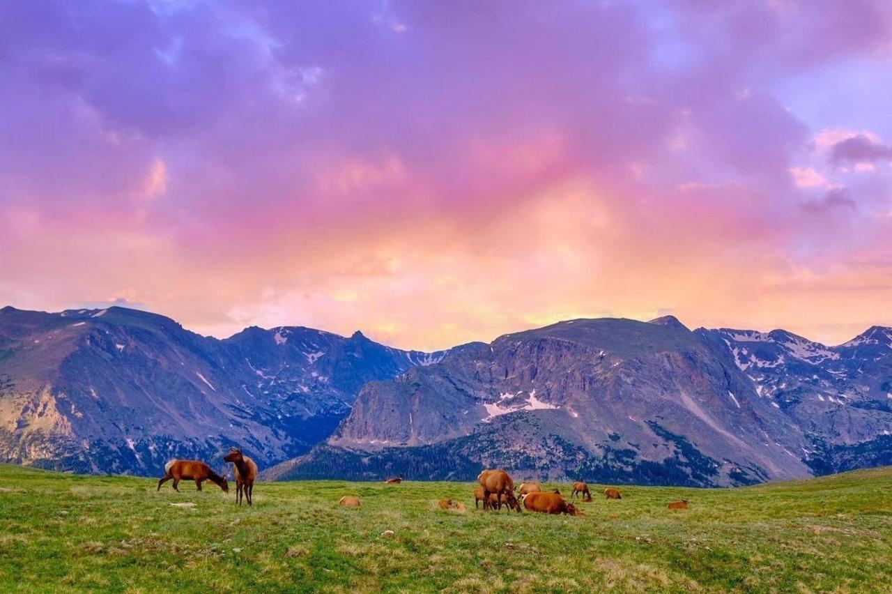 Nakai Peak 41B Condo Estes Park Zewnętrze zdjęcie
